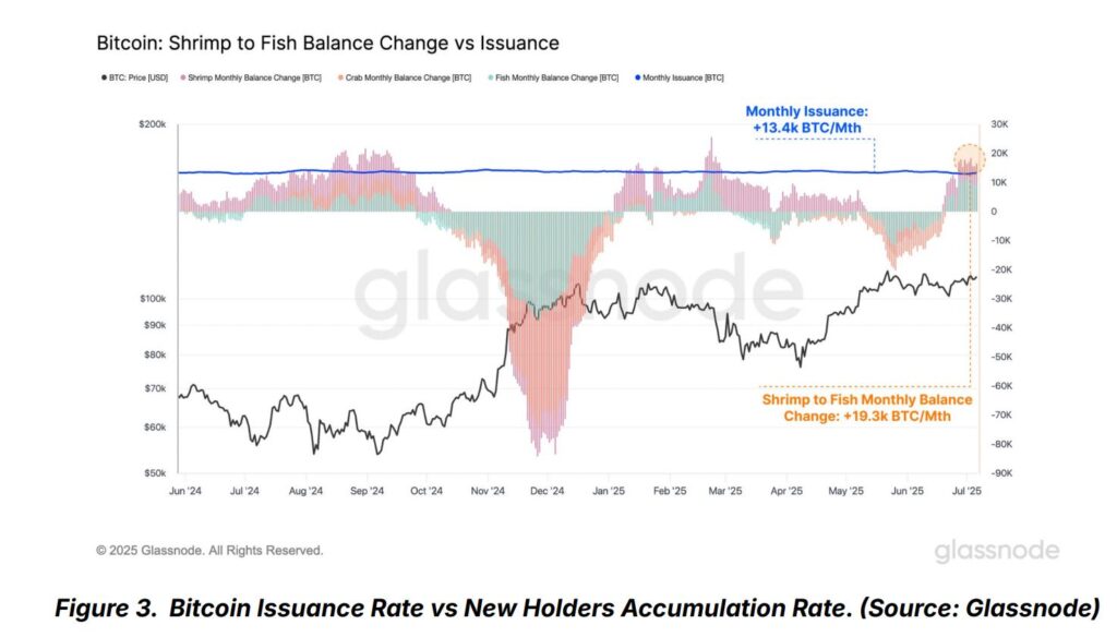 Gráfico de barras que refleja las compras de los pequeños inversionistas de bitcoin.