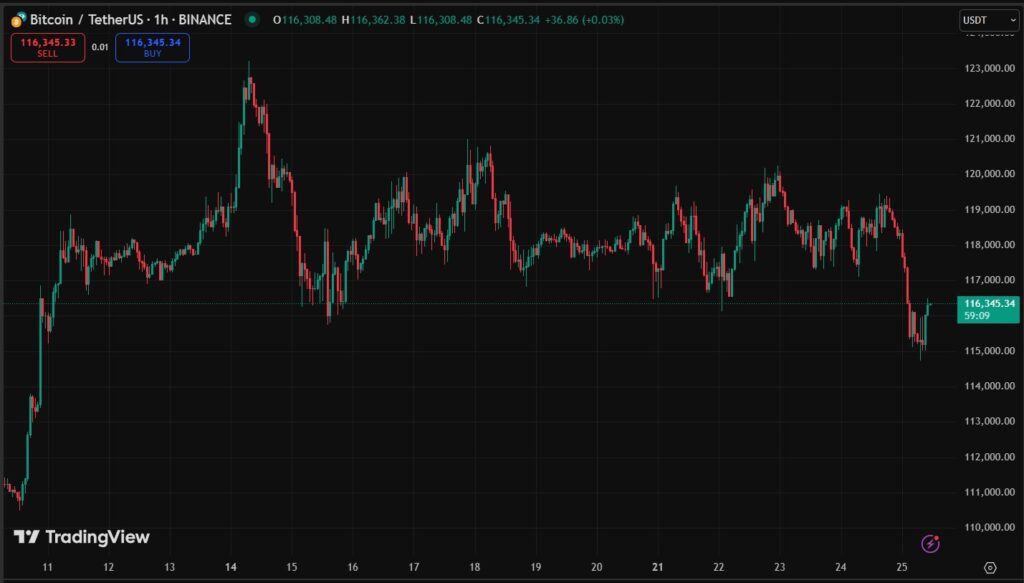 Gráfico del precio de BTC.