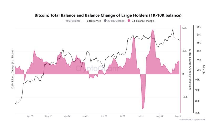 Gráfico de compras de BTC por parte de ballenas.