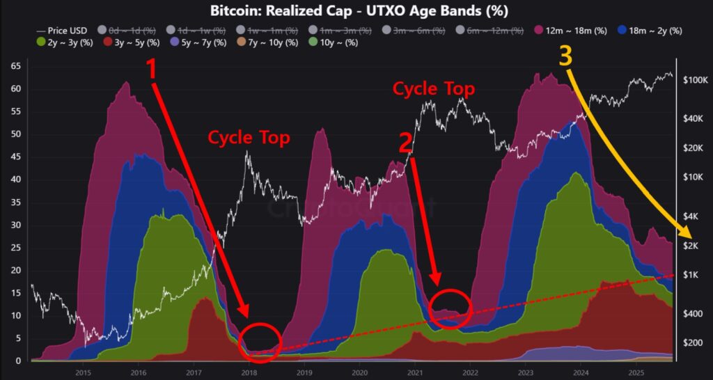 Gráfico de la capitalización de bitcoin distribuidas por antigüedad.
