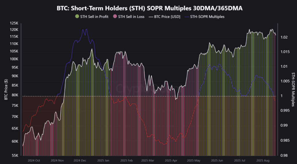 Gráfico de poseedores a corto plazo (STH) de bitcoin