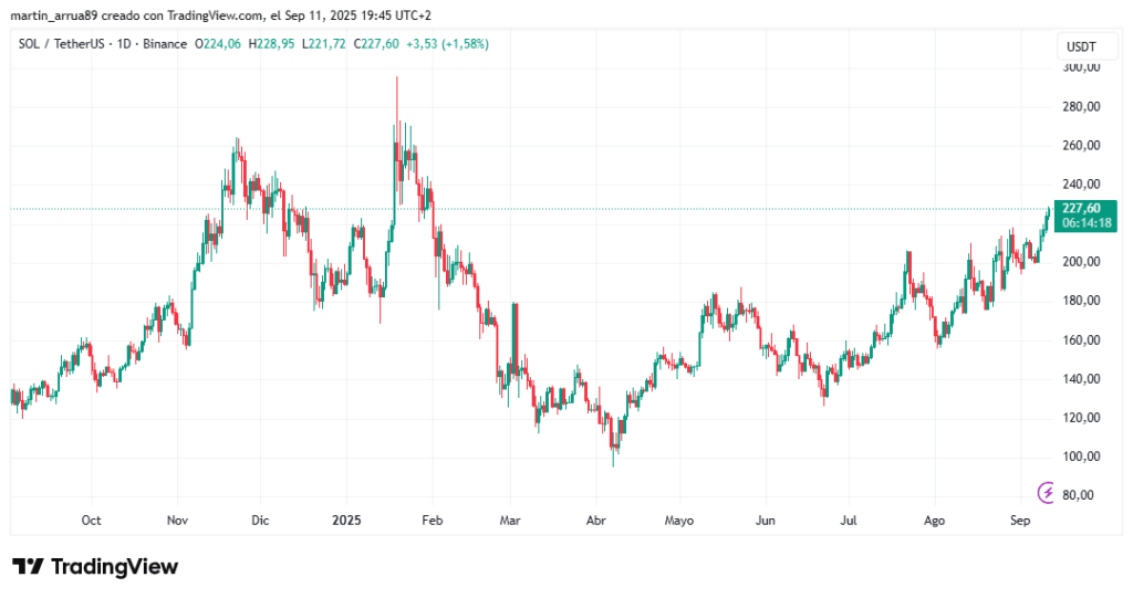 Gráfico de precio de solana en los últimos 12 meses. 