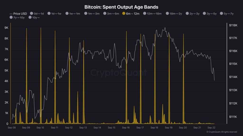 Gráfico de salidas de BTC de las wallets de holders.