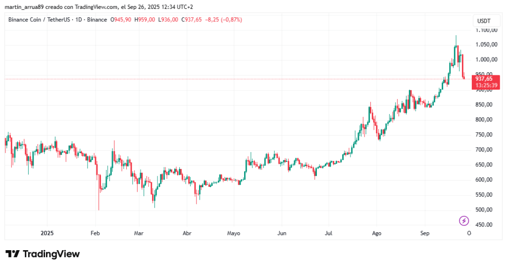 Gráfico de precio de la criptomoneda BNB.