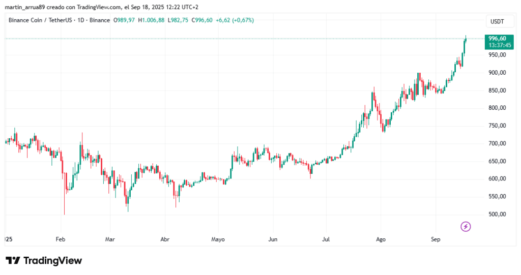 Gráfico de precio de BNB en lo que va de 2025.