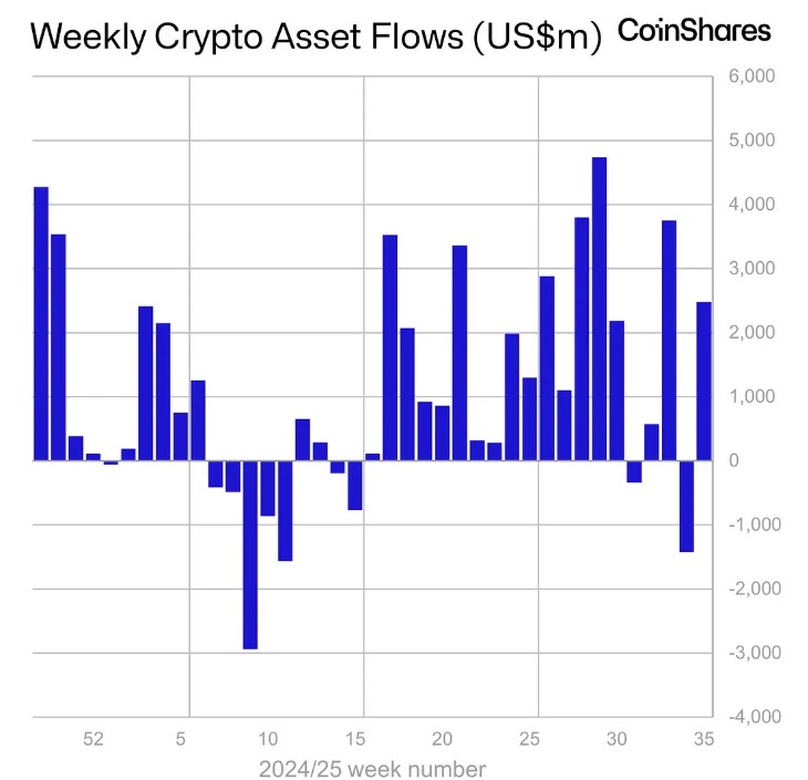 Gráfico de desempeño de los productos de inversión en criptomonedas.