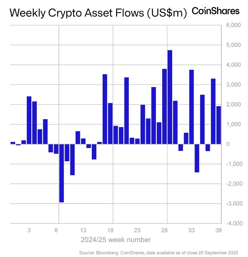 Gráfico del desempeño de los instrumentos financieros en activos digitales.