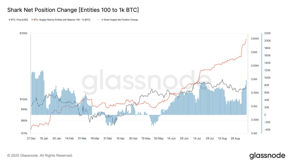 Gráfico de acumulación de tiburones de bitcoin.