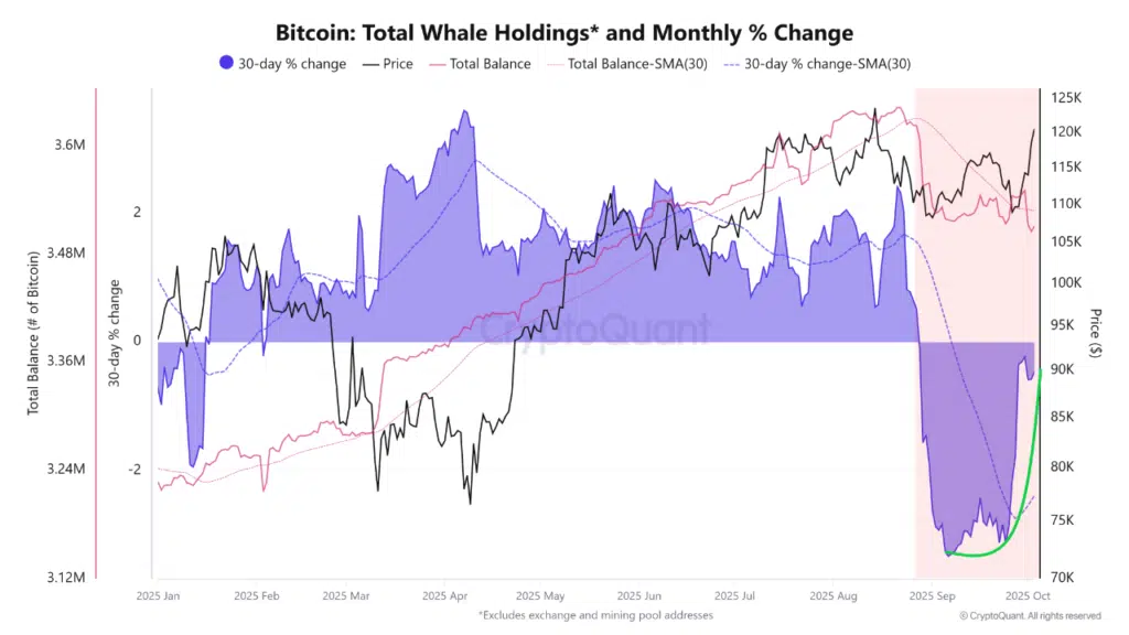 Gráfico de ondas y líneas que muestra comportamiento de ballenas de bitcoin.