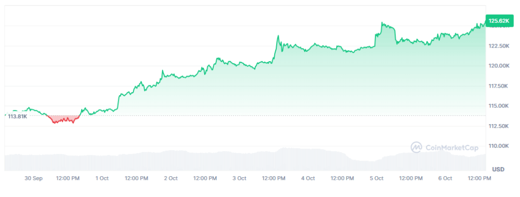 Gráfico de precio de bitcoin.