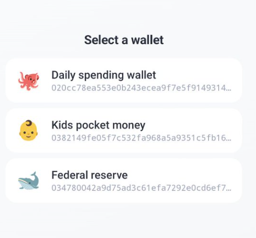 Una imagen de una interfaz de una aplicación de internet que permite seleccionar distintos tipos de wallets.