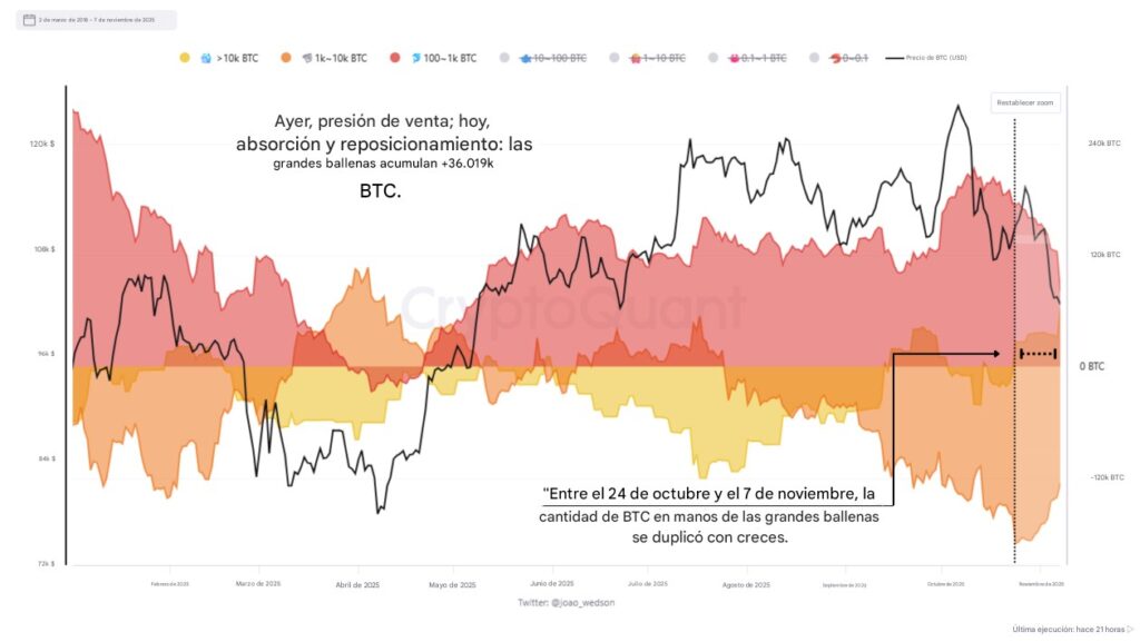 Gráfica de bandas de colores que representan la acumulación de BTC por parte de las ballenas.