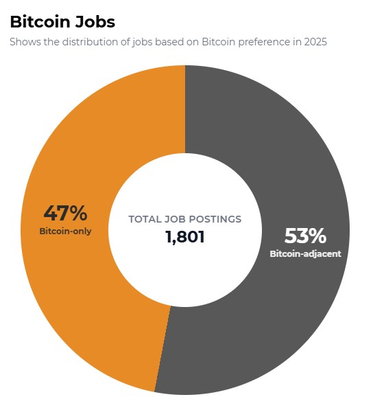 Gráfica de tipo torta que refleja las vacantes en el mercado laboral de Bitcoin.