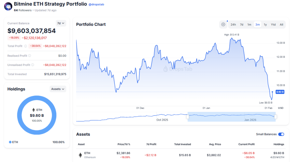 Imagen que muestra el porfolio de BitMine, la empresa que tiene una tesorería basada en la criptomoneda de Ethereum.