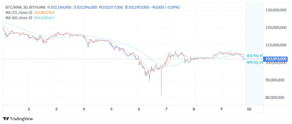 Gráfico del precio de bitcoin en  Bith.umb 