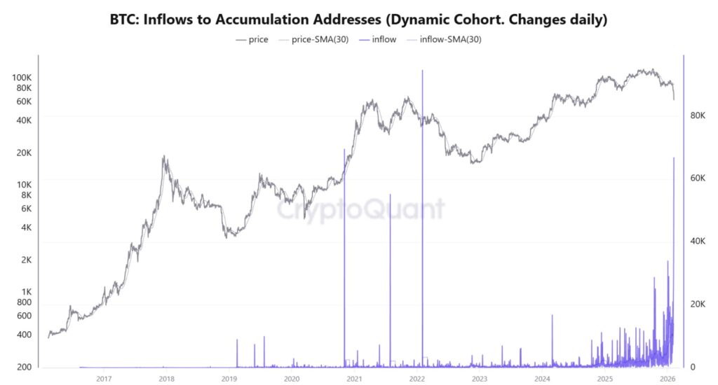Gráfico que muestra las entradas diarias de BTC a direcciones de acumulación. 

