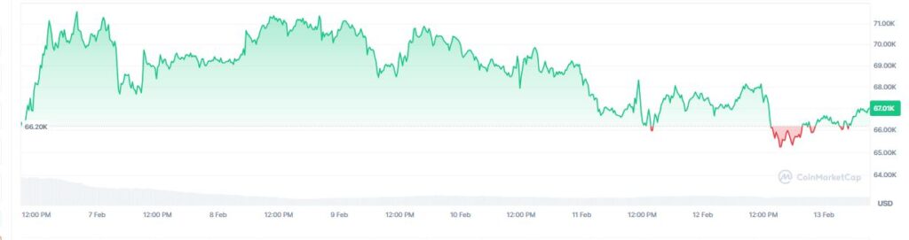 Gráfico de precio de bitcoin.