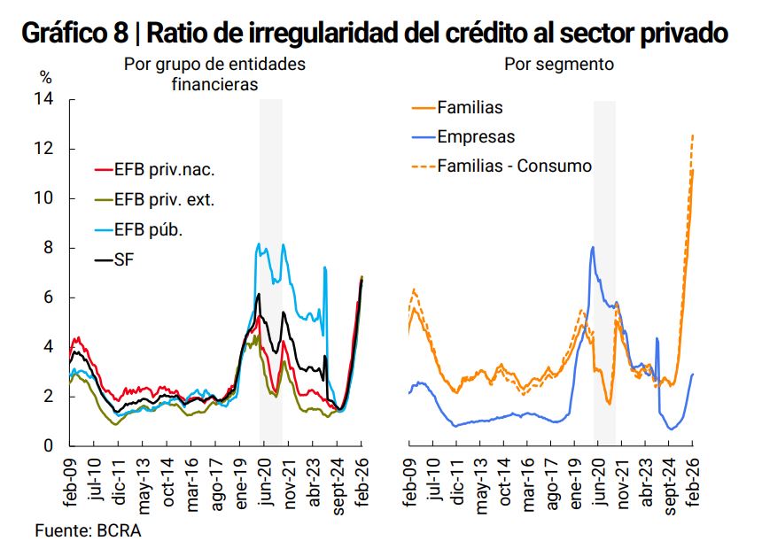 Gráficos que muestran los ratios de irregularidad del sector privado en Argentina por segmento y por entidades financieras.