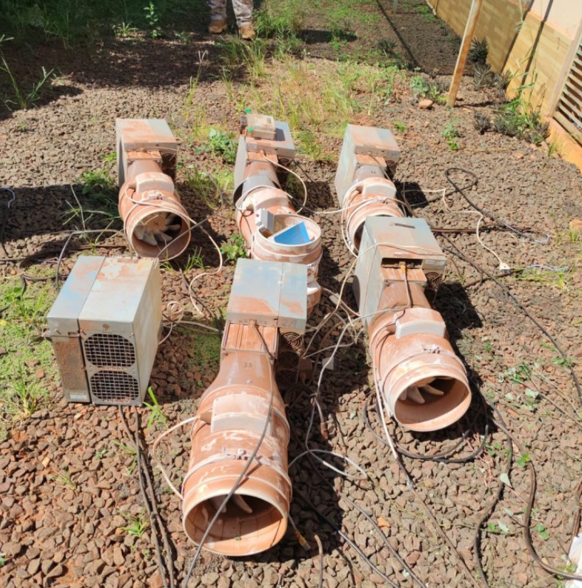 Fotografía de los mineros incautados por ANDE en el operativo.