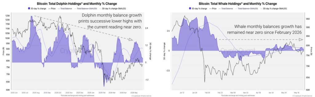 Gráficos que muestran el estancamiento en la acumulación de bitcoin por parte de delfines y ballenas en 2026.