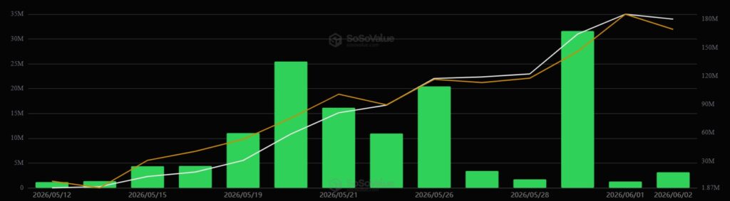 Gráfico de barras verdes mostrando el desempeño de los ETF de HYPE.