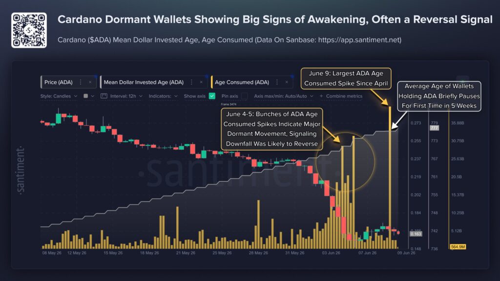Gráfico que muestra un pico masivo en la métrica Age Consumed de Cardano (ADA).